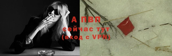 бошки Новодвинск