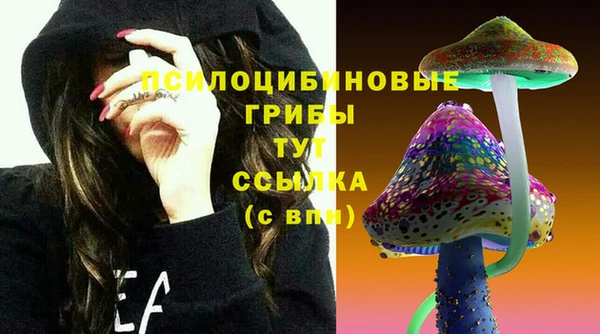 альфа пвп Новозыбков
