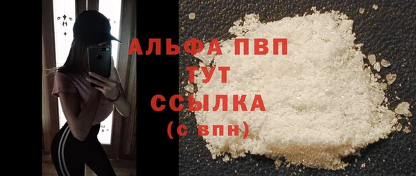 СК Новокубанск