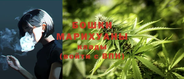 PSILOCYBIN Осташков
