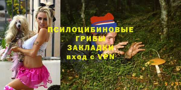 альфа пвп Новозыбков