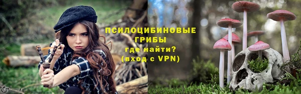 СК Новокубанск