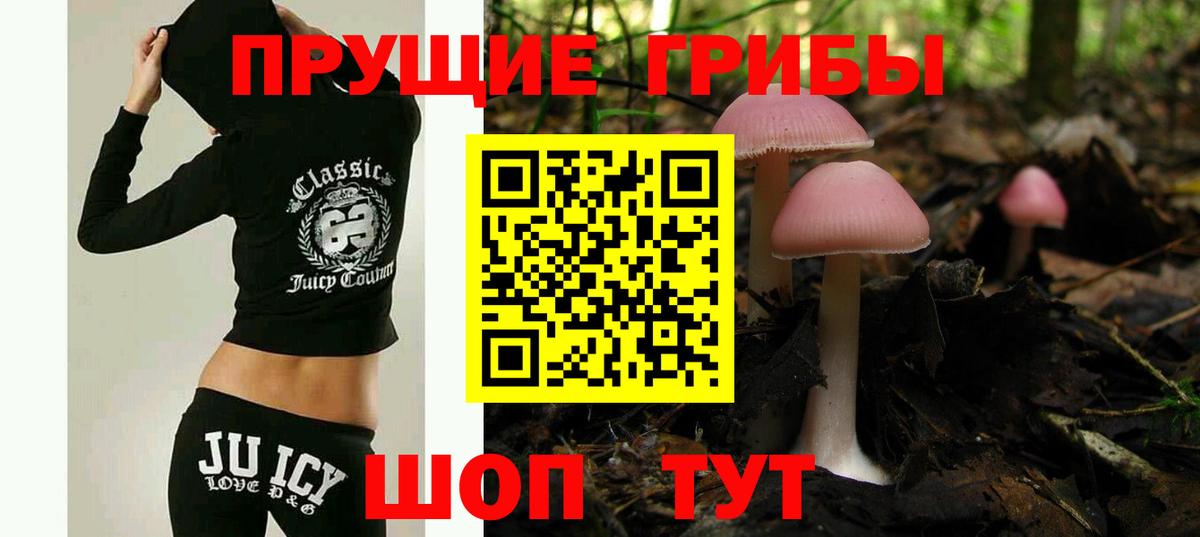 Приморско-Ахтарск  Псилоцибиновые грибы MAGIC MUSHROOMS  Вход с VPN  Галлюциногенные грибы мухоморы 